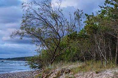 中小学体育课程中的体育道德教育研究，中小学体育教学内容有哪些