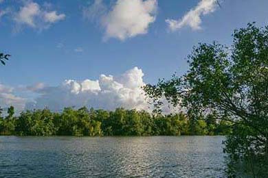 斯密斯：在战术调整中贡献巨大，带领全黑队迎接新挑战，sime斯密